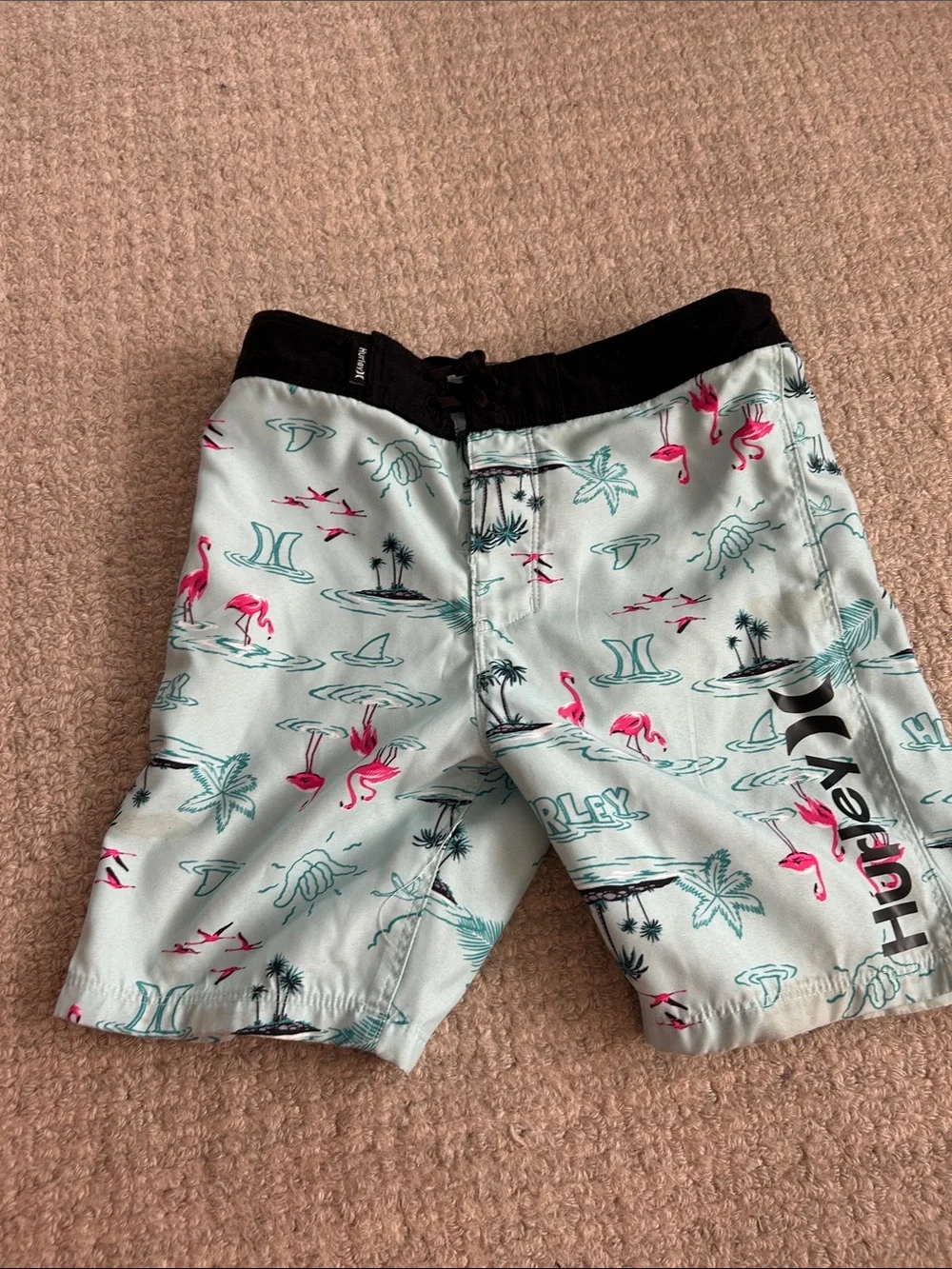 Hurley Mint Green Flamingo Print Swim Shorts with Black Waistband